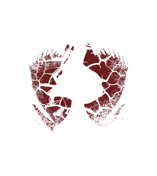 89stars | Дамска Regular тениска ’NargaBrat’ – Усещане за свобода мечти и полет към нови висоти! - Дамски regular