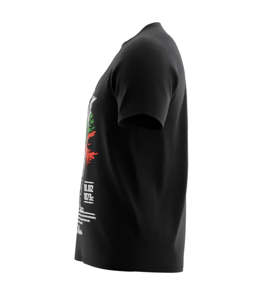 89stars | Мъжка Regular тениска ’Левски’ – Патриотизъм и почит със стил! - Мъжки regular